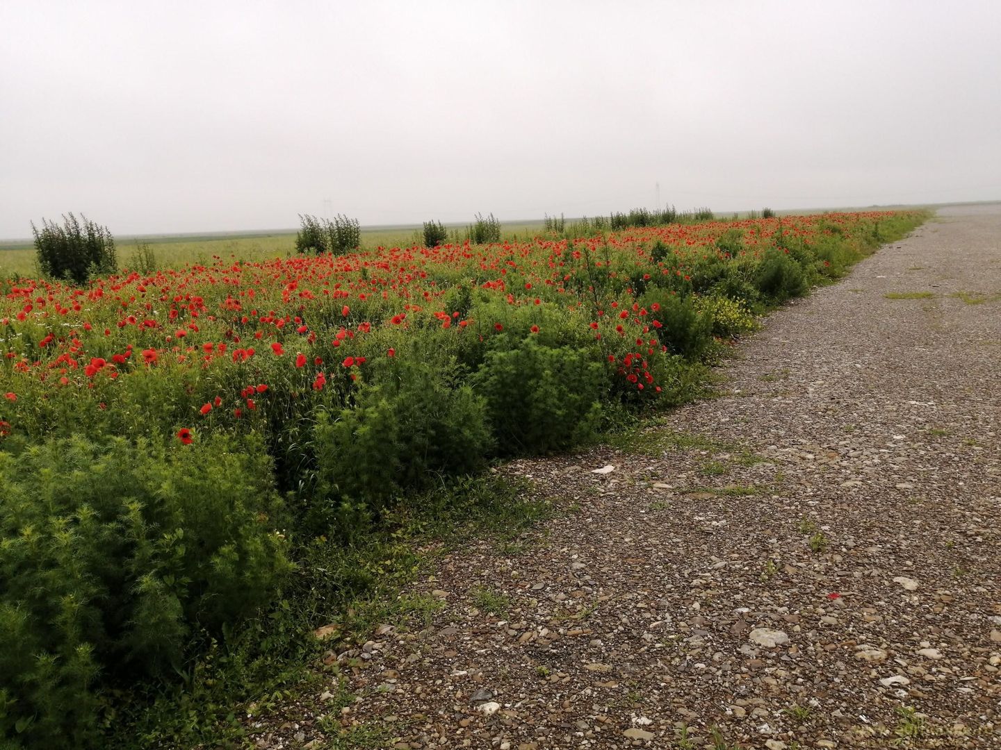 Teren la DN Brașov-Tărlungeni - Poză 5