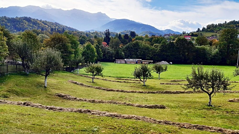 Teren superb de 16240mp, parcelabil, in Bran la intrare in Moeciu de Jos - Poză 3