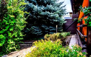 Vânzare, vilă, 4 camere, Vadul lui Vodă - Poză 32