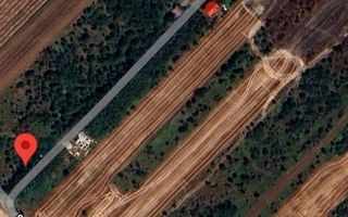 Teren de vanzare Sabareni Giurgiu - Poză 3