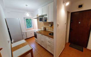 Apartament 1 cameră Vitan – Confort și Accesibilitate Mall Vitan - Poză 12