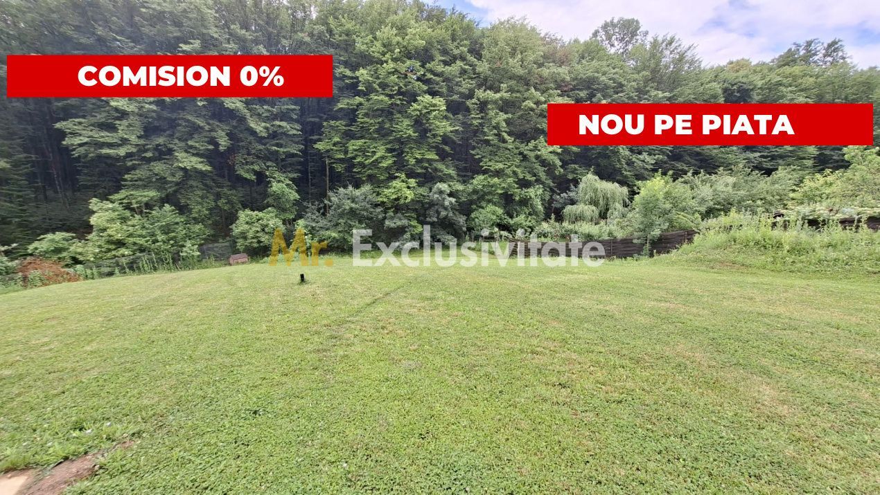 Teren intravilan 1203 mp Bascov-Florea zona Superba - Poză 1