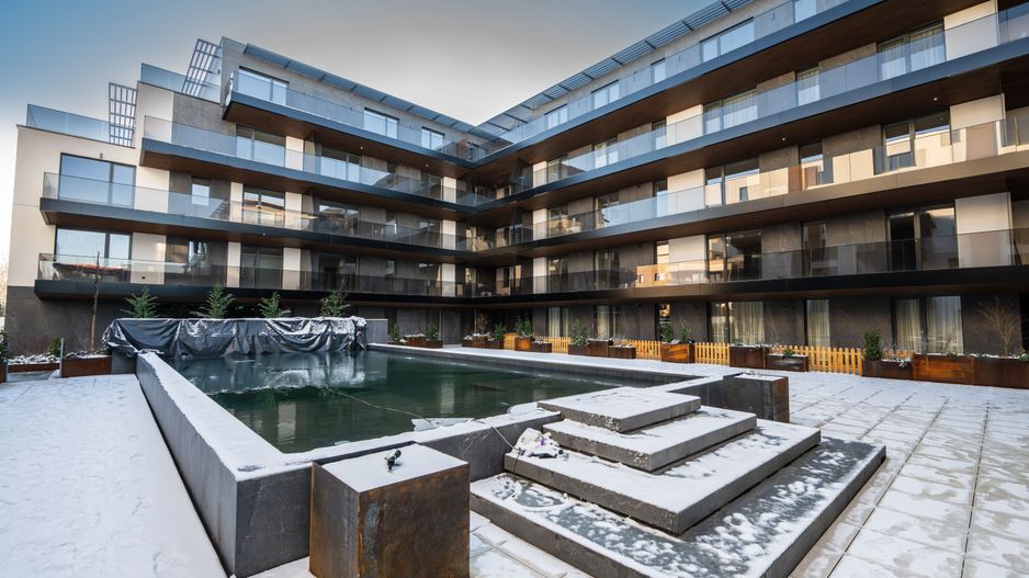 IANCU NICOLAE | Pet friendly | Piscina exterioara | EXCLUSIVITATE - Poză 17