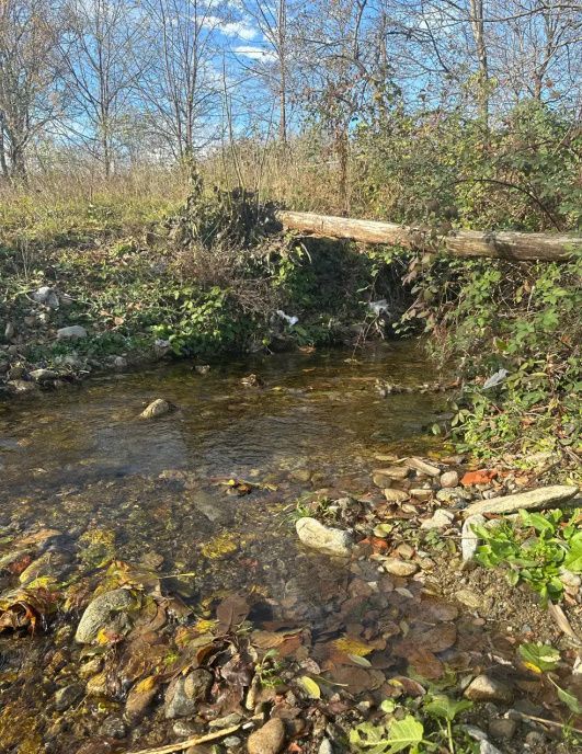 Teren mixt de vânzare Crasna Gorj, aproape de Rânca– 19.209 mp - Poză 7