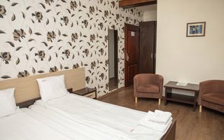 Pensiune, teren 4.460 mp, Hidișelul de Jos, Bihor. 685.000 Euro (neg). - Poză 30