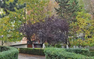 Apartament 3 camere, 92 mp | Gheorgheni - Interservisan | Bd. N. Titulescu 36 - Poză 19