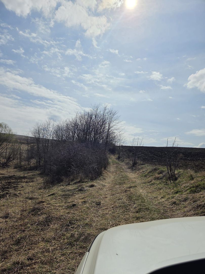 Teren de vanzare Pata Cluj - Poză 3