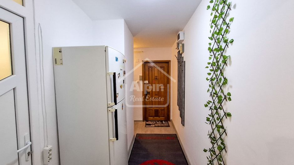 Suprafata Generoasa I Zona Gemenii - Poză 9