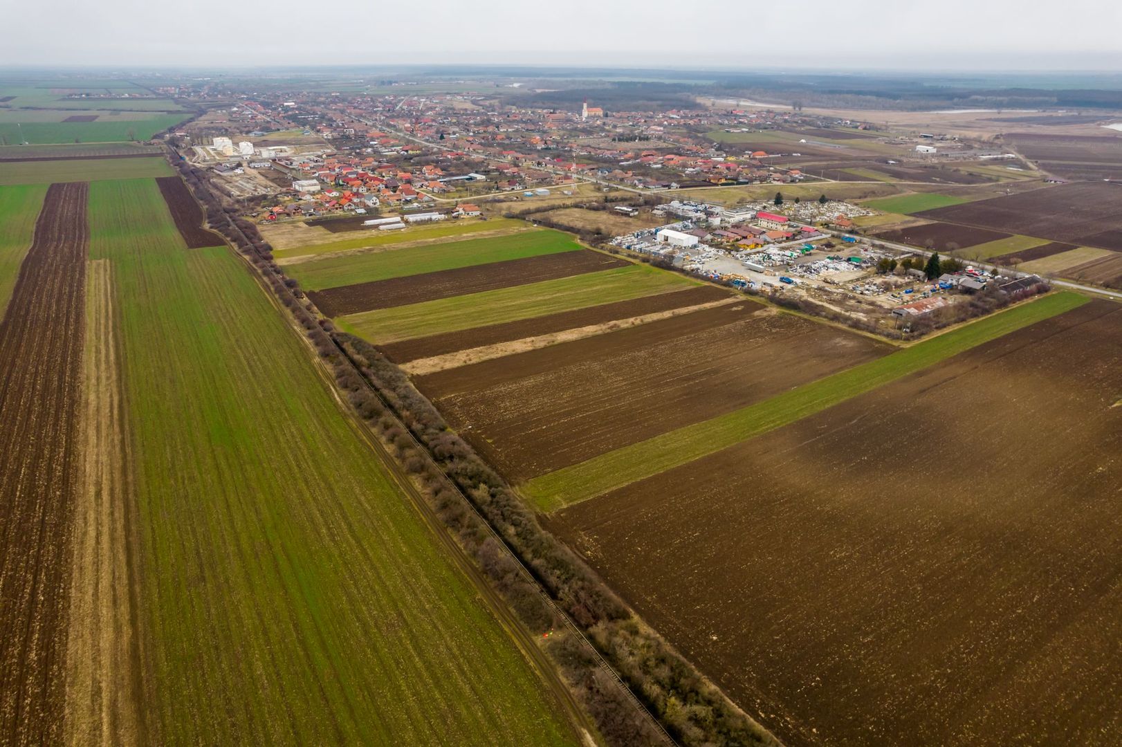 Teren 5000 mp ZĂDĂRENI - Poză 5