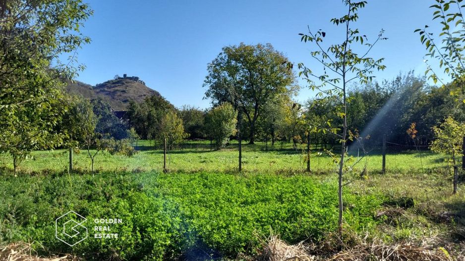 Casa cu 3 corpuri de cladire, localitatea Lipova - Poză 8