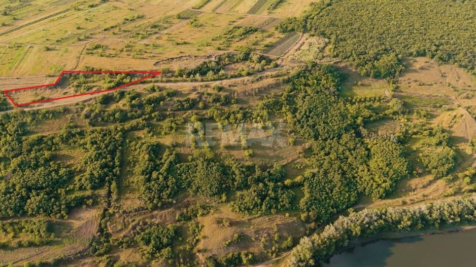 Teren agricol intravilan, 63 ari pe malul Nistrului, Doroțcaia - Poză 1