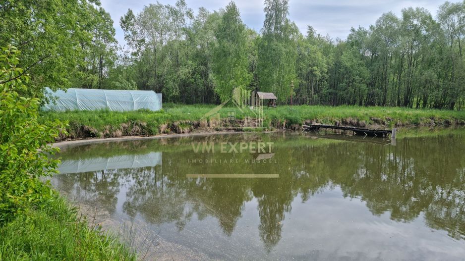 CASA 3 CAMERE, TEREN 6200 MP + 2 LACURI, CAMPULUNG, NAMAIESTI - Poză 24