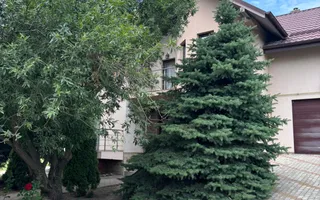 Casa 5 camere | 10 ari teren | Scheia, Suceava | 245.000€ - Poză 14