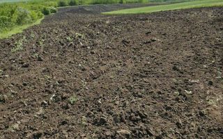 De vânzare – Teren agricol 40 ari, Cimișlia - Poză 1