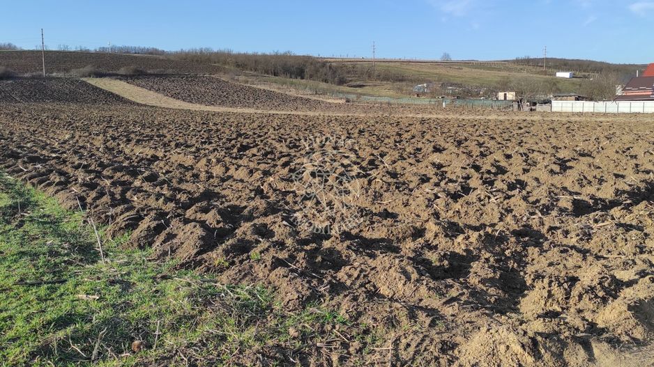 TEREN INTRAVILAN | LOCALITATEA LIVADA, COMUNA ICLOD, JUD. CLUJ - Poză 1