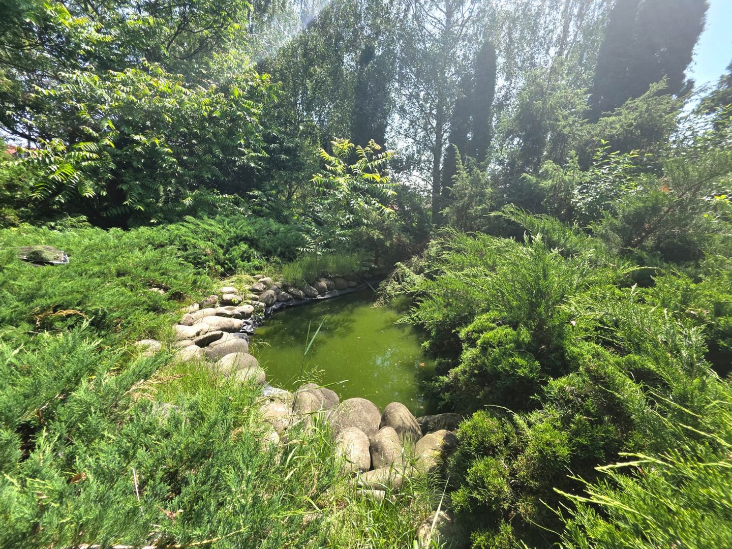 PROPRIETATE PREMIUM CU 4.534 MP TEREN- REGHIN STRADA POMETULUI - Poză 5