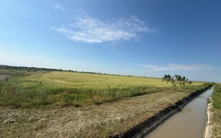 Teren 10 hectare pretabil pt panouri solare-Aricesti Rahtivani - Poză 6