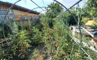 Casă individuală Plopi, 75 mp, teren 1.365 mp, 2 corpuri - Poză 8