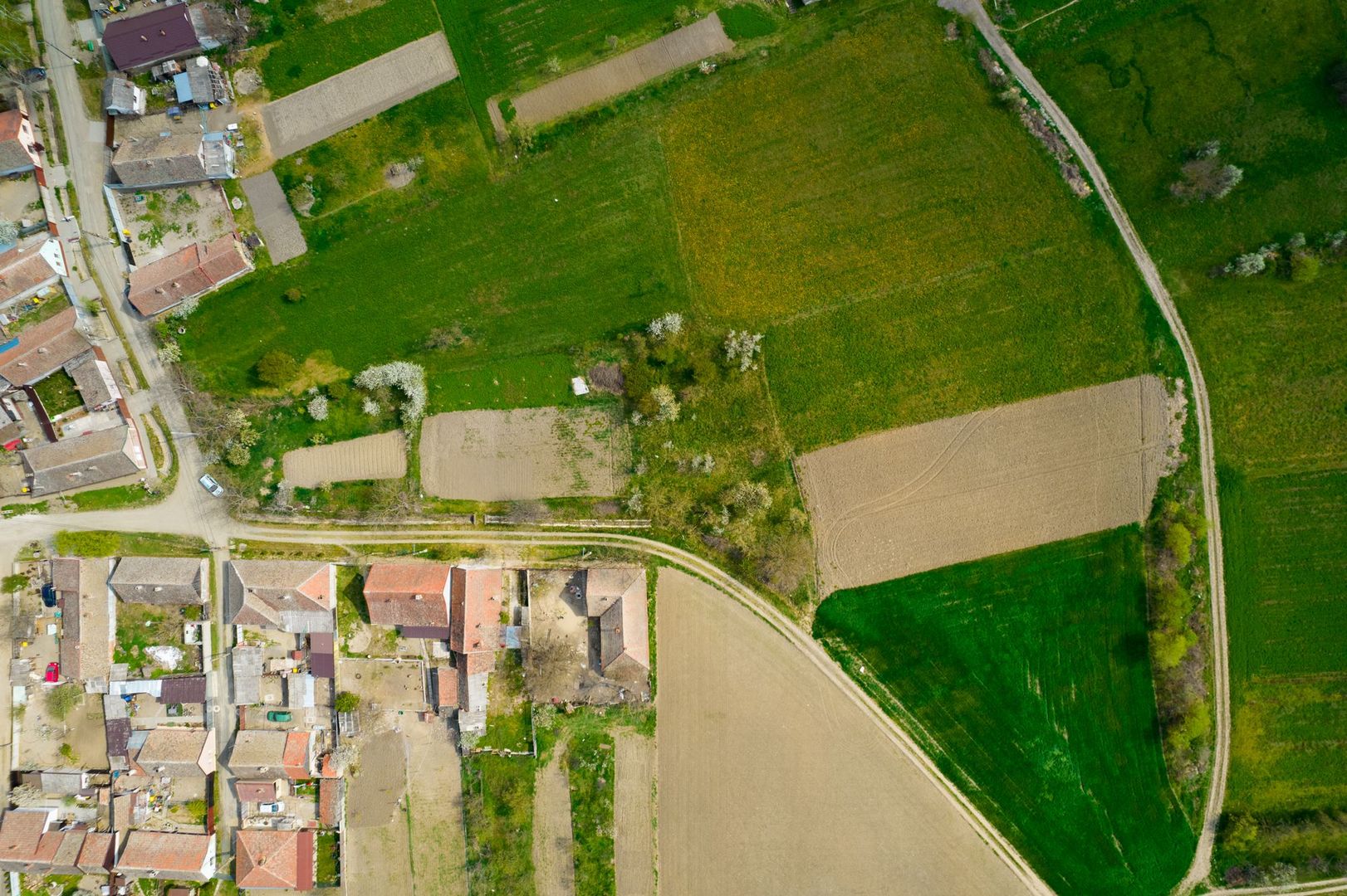 Teren extravilan 2571mp în localitatea Pecica - Poză 5