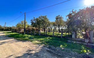 Vând proprietate deosebită, 8 km de Satu Mare – Apateu - Poză 8