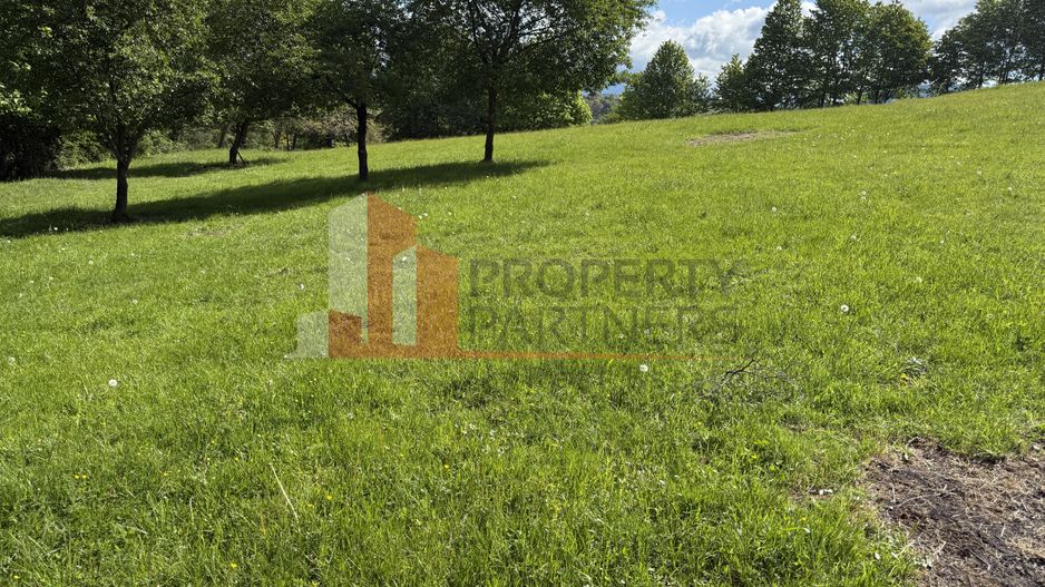 Teren Bran Sohodol 6700 mp - Poză 5