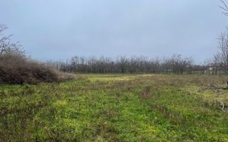 Teren intravilan 3367 mp cu casa demolabile 54 mp puț existent! - Poză 2