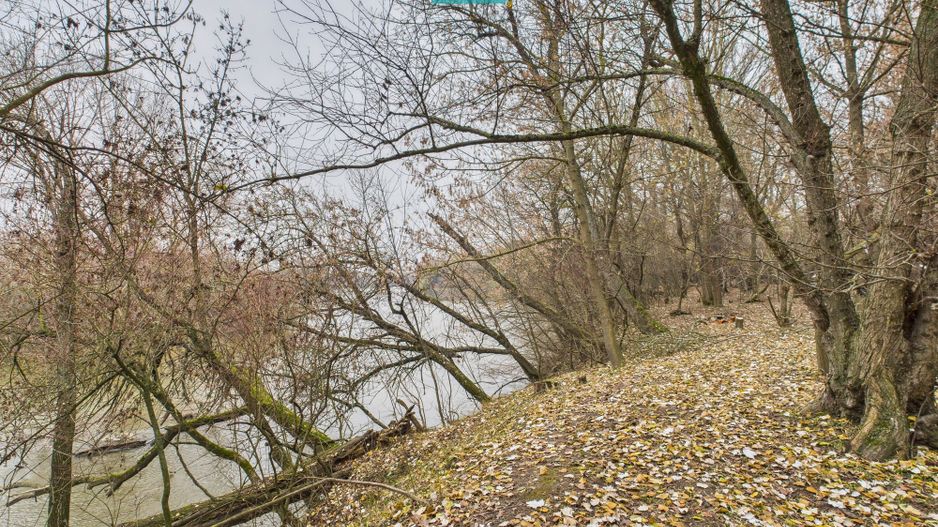 Teren spectaculos la  Periam Port - Poză 11