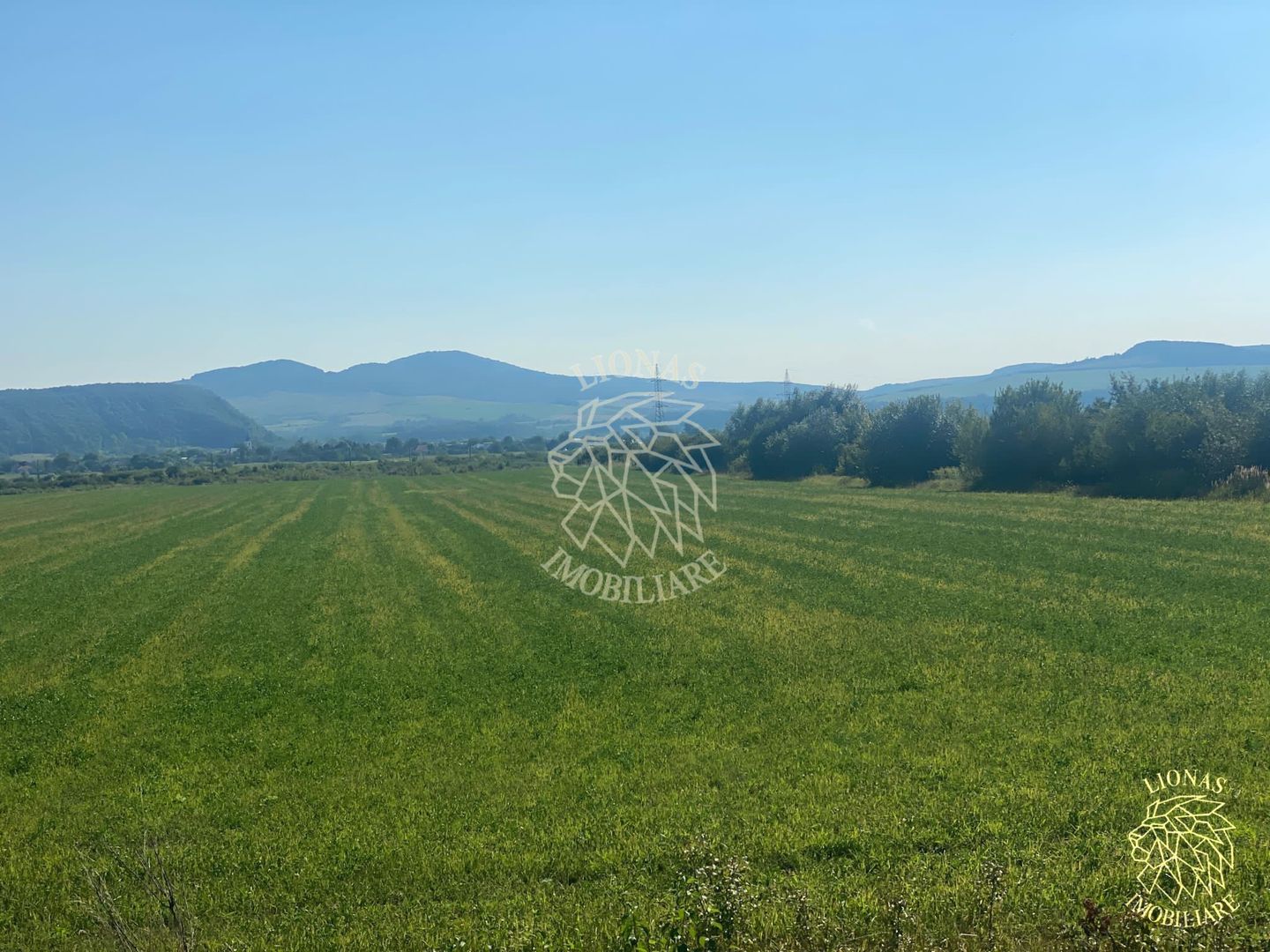 Teren 13400mp la DN 17-parcelabil Sieu-Sfantu - Poză 7