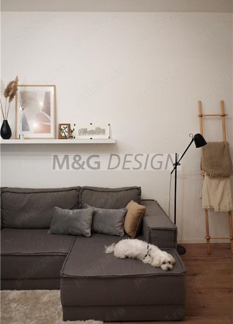 Apart deosebit pe malul Begai - Poză 11