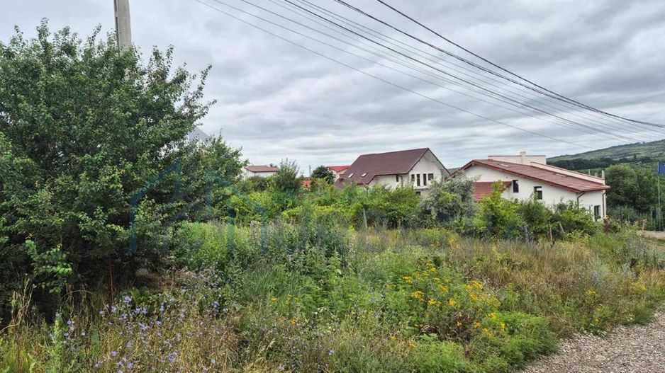 Vând Teren Vișan Bîrnova intravilan - Poză 4