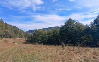 teren in zona Bradet-Sacele - Poză 9