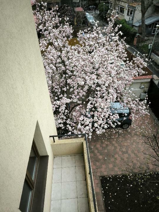 Polona - Dorobanti Apartament 3 camere - Poză 10