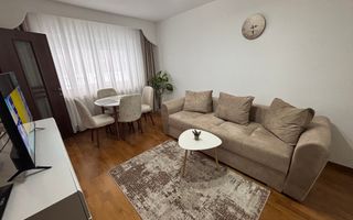 Apartament 1 cameră cu vedere directă spre Parcul Ștrand - Poză 12