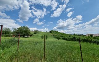 De vanzare 998 mp teren intravilan, Cetate - Poză 1