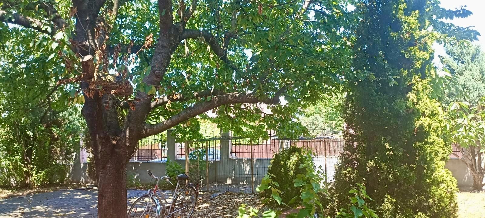 Casa de vanzare Tulcea / MAHMUDIA - Poză 12