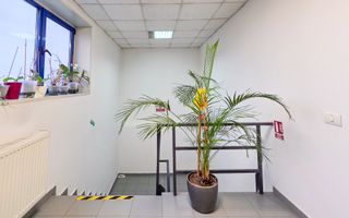 Spațiu industrial–afacere catering la cheie, teren&hală 750 mp S+P+1E - Poză 36