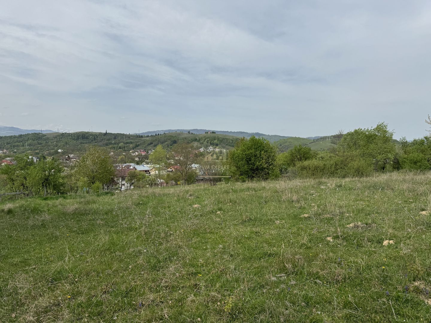 TEREN INTRAVILAN, 7472 MP, VALEA MARE PRAVAT, ARGES - Poză 15