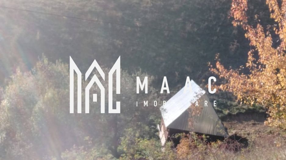 Super ofertă 35000 teren in Muntii Apuseni - Poză 4