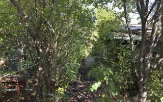 Teren de vanzare | 240 mp  | Bucureștii Noi | Sector 1 - Poză 4