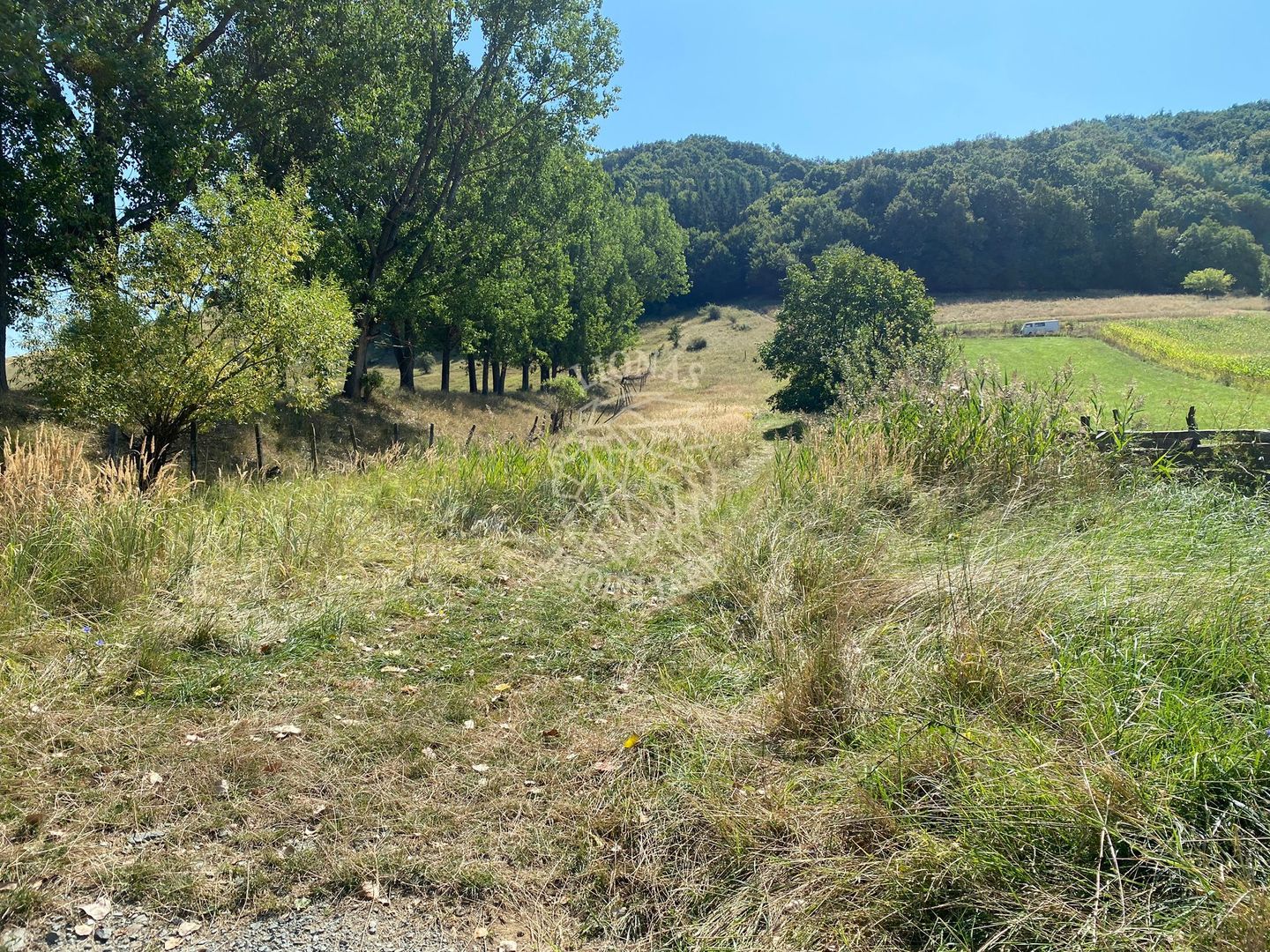 Teren intravilan 2600 mp - pretabil casa/investitie-Zona Aerodrom - Poză 8