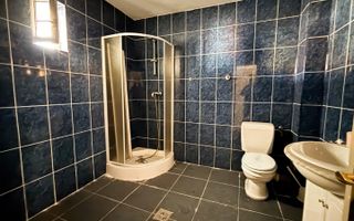 COMISION 0% Casă cu hală auto și piscină pe DN1C - Potențial comercial - Poză 10