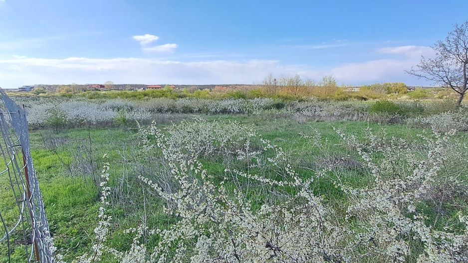 Mogosoaia, teren 792 mp, vedere la lac, utilitati, statie STB la 750m - Poză 3