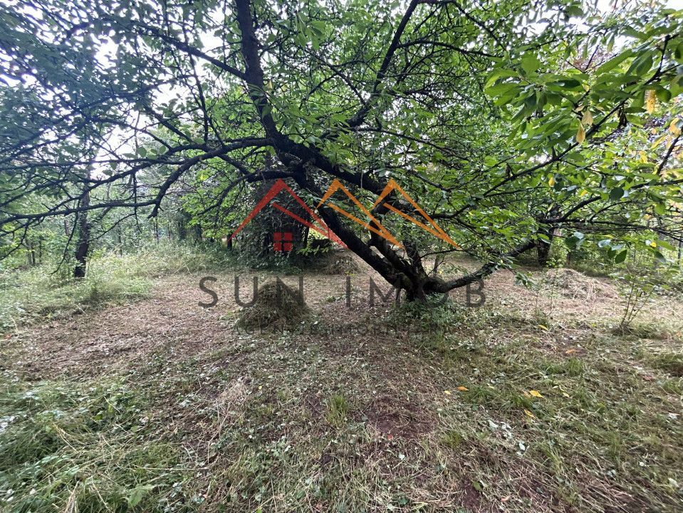 Teren intravilan, 1900 m2, zona Campinita, Campina, Prahova - Poză 15