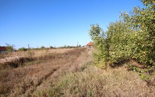 Teren de vanzare in suprafata de 5500 mp in loc.Nitchidorf - Poză 8