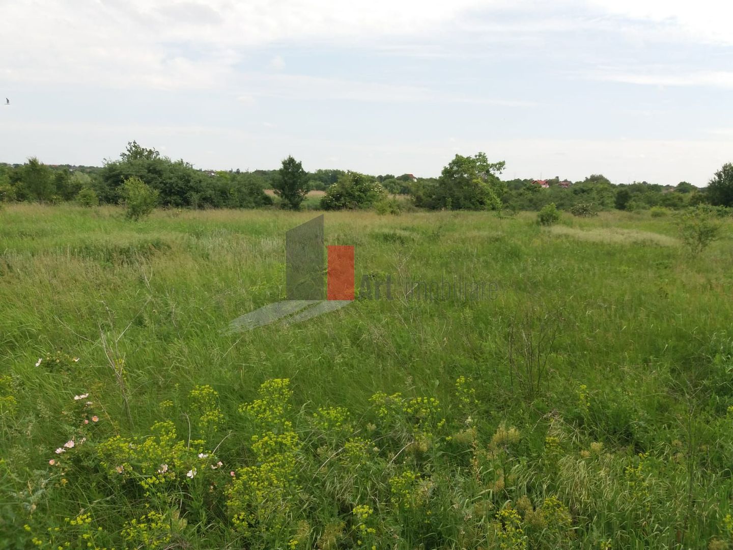 Teren cu iesire la lac - Poză 15