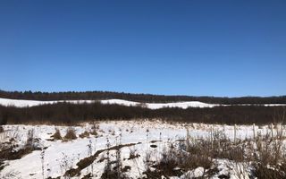 Teren 10000 si o parcela de 50 ari-oportunitate investitie-Jelna - Poză 2