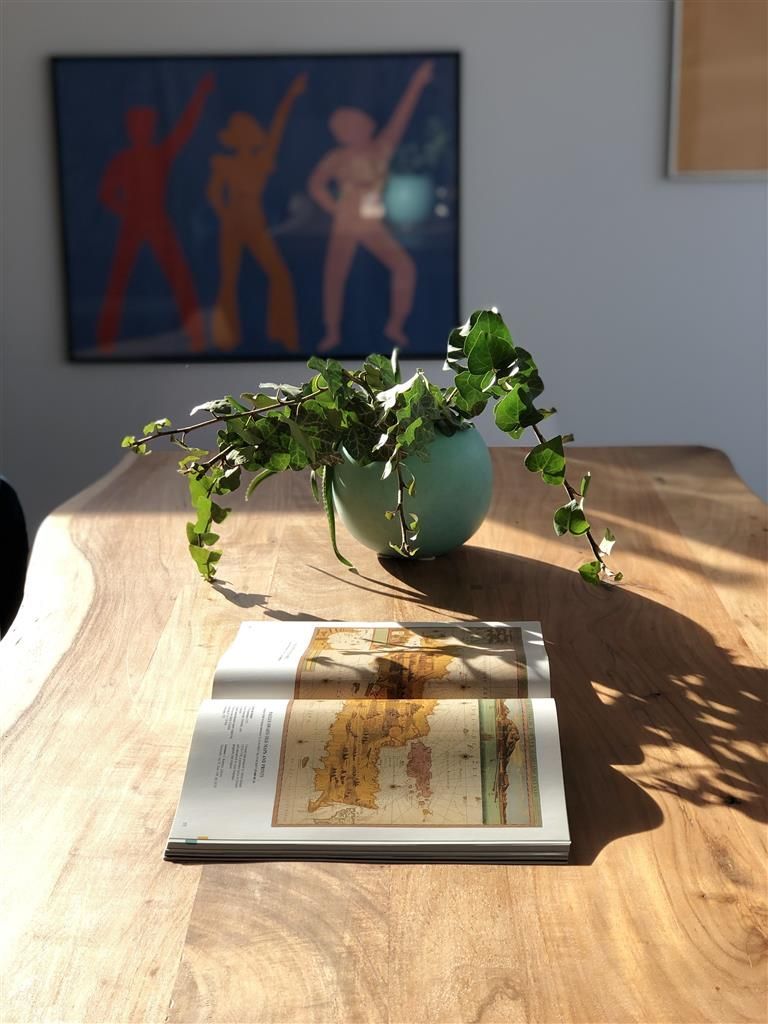 Vile langa padure | 5 camere | Baneasa | Casa Showroom - Poză 9