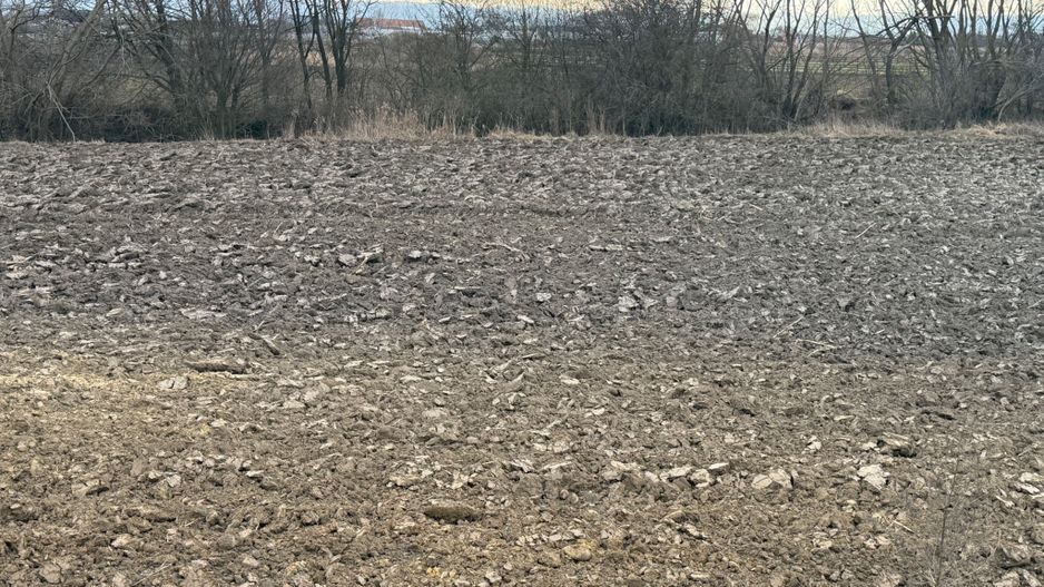 Teren extravilan | Rădăuți | 36 ARI - Poză 8