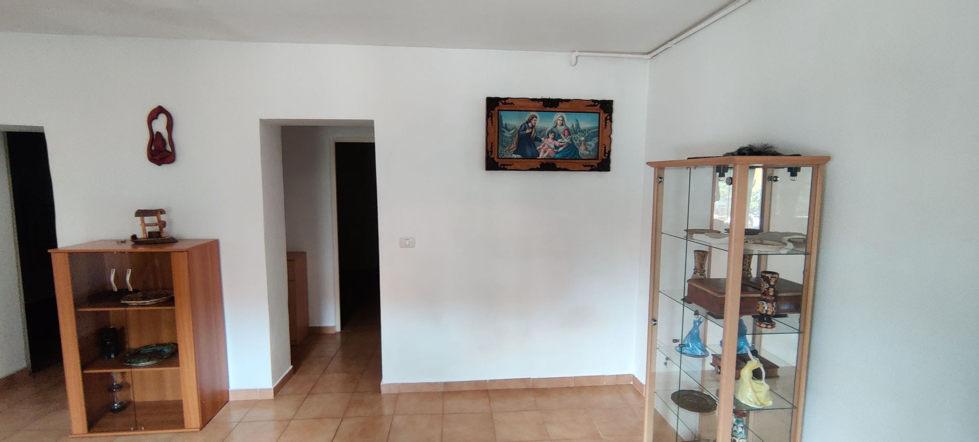 CASA INDIVIDUALA SI HALA CU TEREN  4000 MP - Poză 16