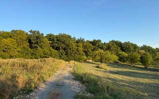 Teren intravilan de vânzare 7.000 mp – Groși, spre Dumbrăvița - Poză 2